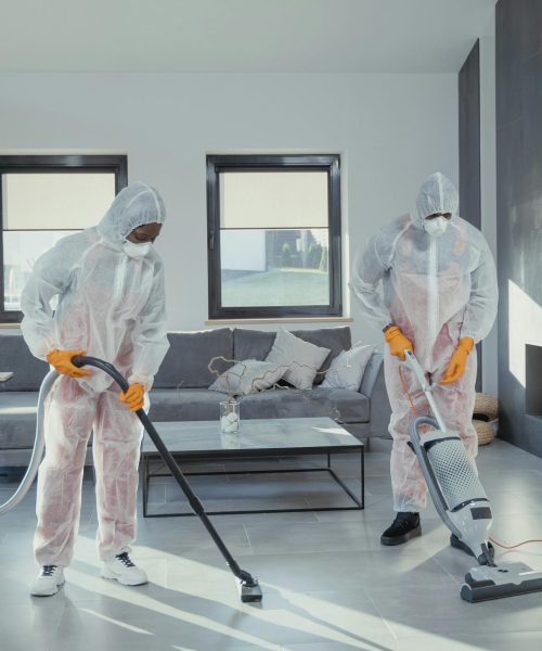 Reigners Cleaning Works (13)