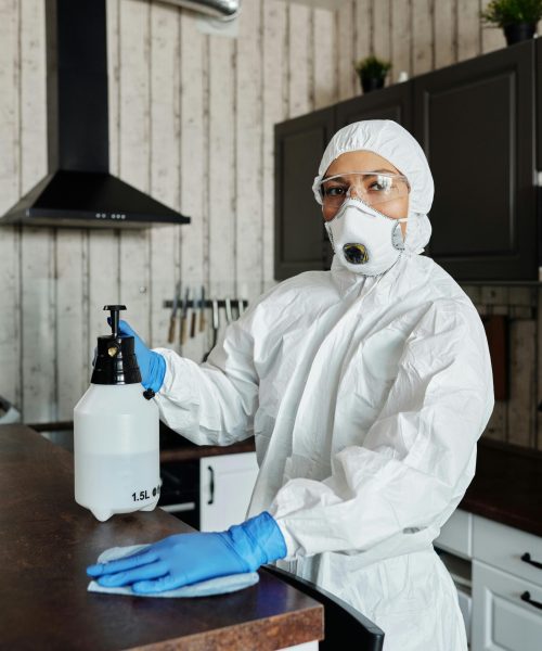 Reigners Cleaning Works (6)